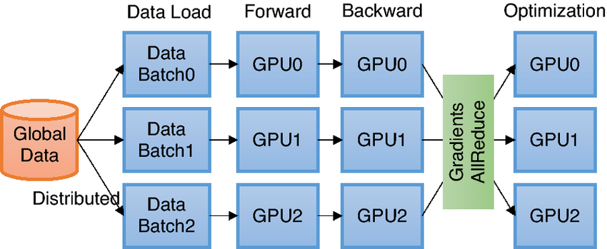 ../_images/Overview-of-DDP-training-Each-process-independently-loads-and-processes-a-batch-of-data.png